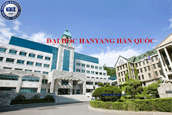 Các ngành đào tạo của đại học Hanyang
